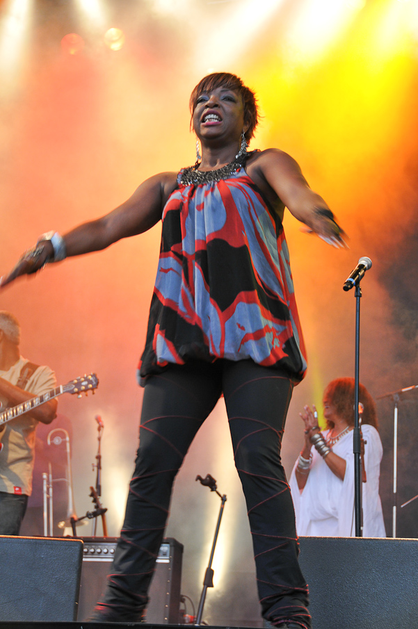 Fete de la Musique Evry 2009 - Kassav 294.jpg